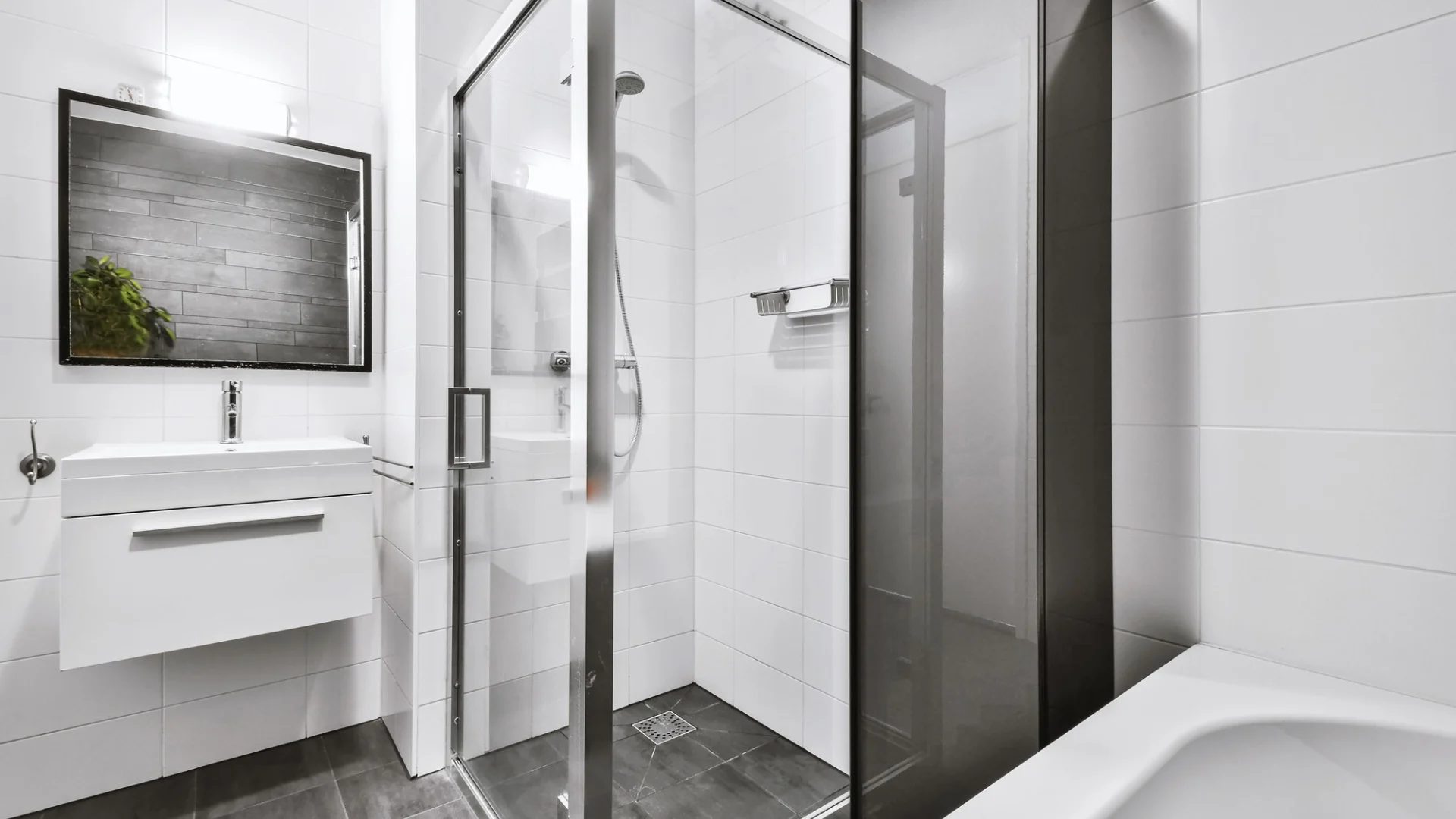 shower doors (2)